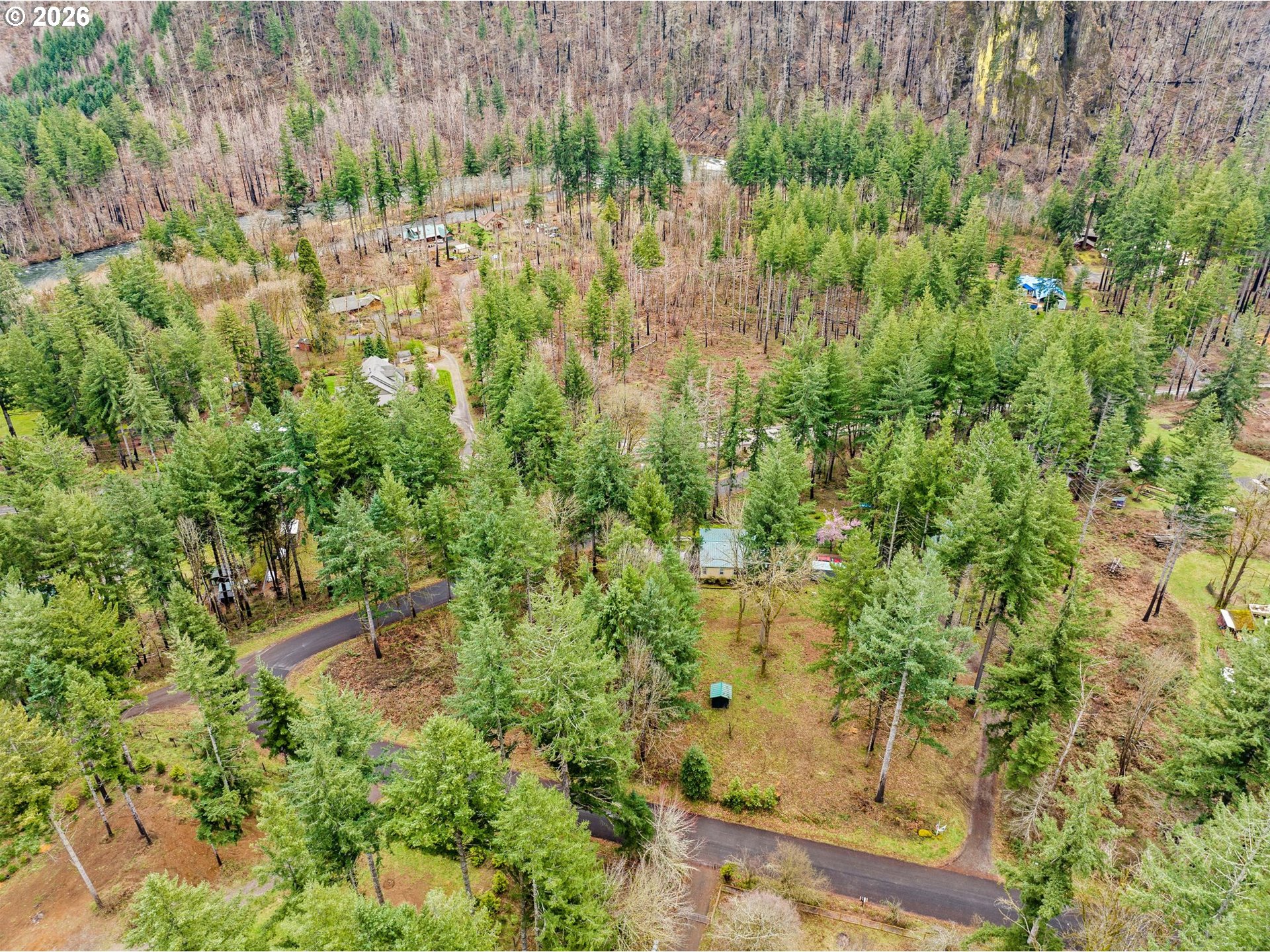 49400 Eagle Rock Place Vida, OR 97488 - Photo 44 of 48 a view of a garden with a house