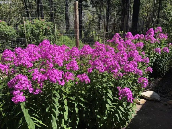 $524,900 | 49400 Eagle Rock Place, Vida, OR 97488