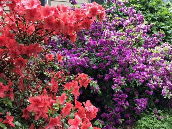 $524,900 | 49400 Eagle Rock Place, Vida, OR 97488