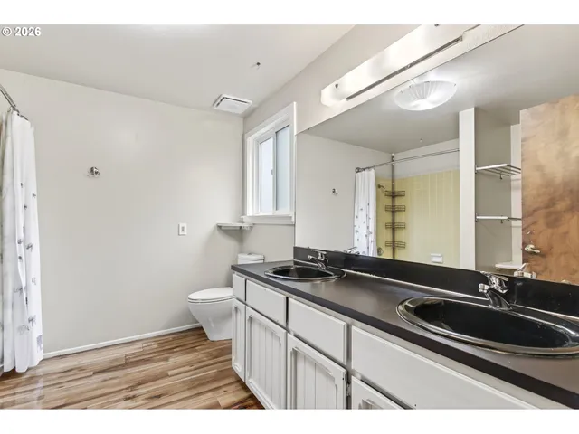 a bathroom with a sink and a toilet
