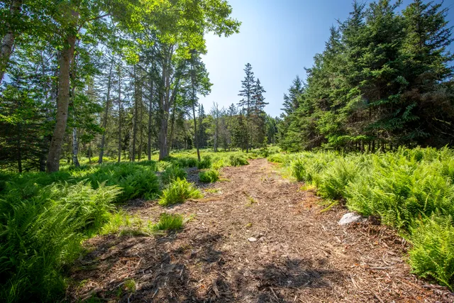$650,000 | 1317 Lot 3 Trim Lane, Islesboro, ME 04848