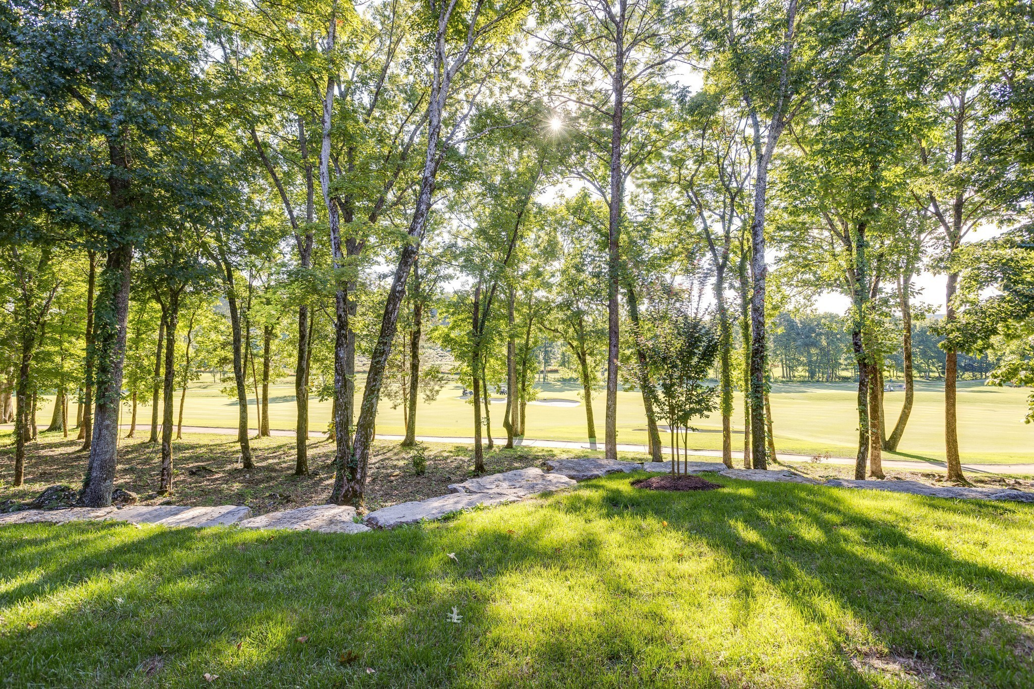 8455 Heirloom Boulevard College Grove, TN 37046 - Photo 65 of 69 a view of swimming pool with lawn chairs and large trees
