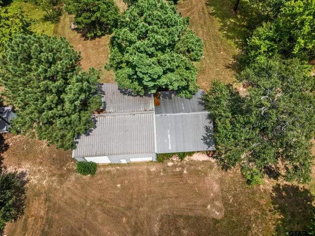 a view of a large yard with plants and large trees