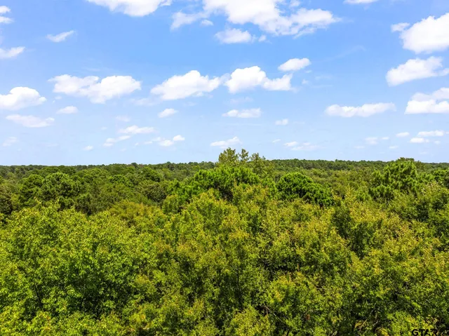 a view of yard with ocean view