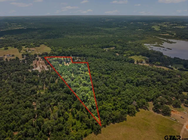 $225,000 | 3731 Farm To Market 1519, Leesburg, TX 75451