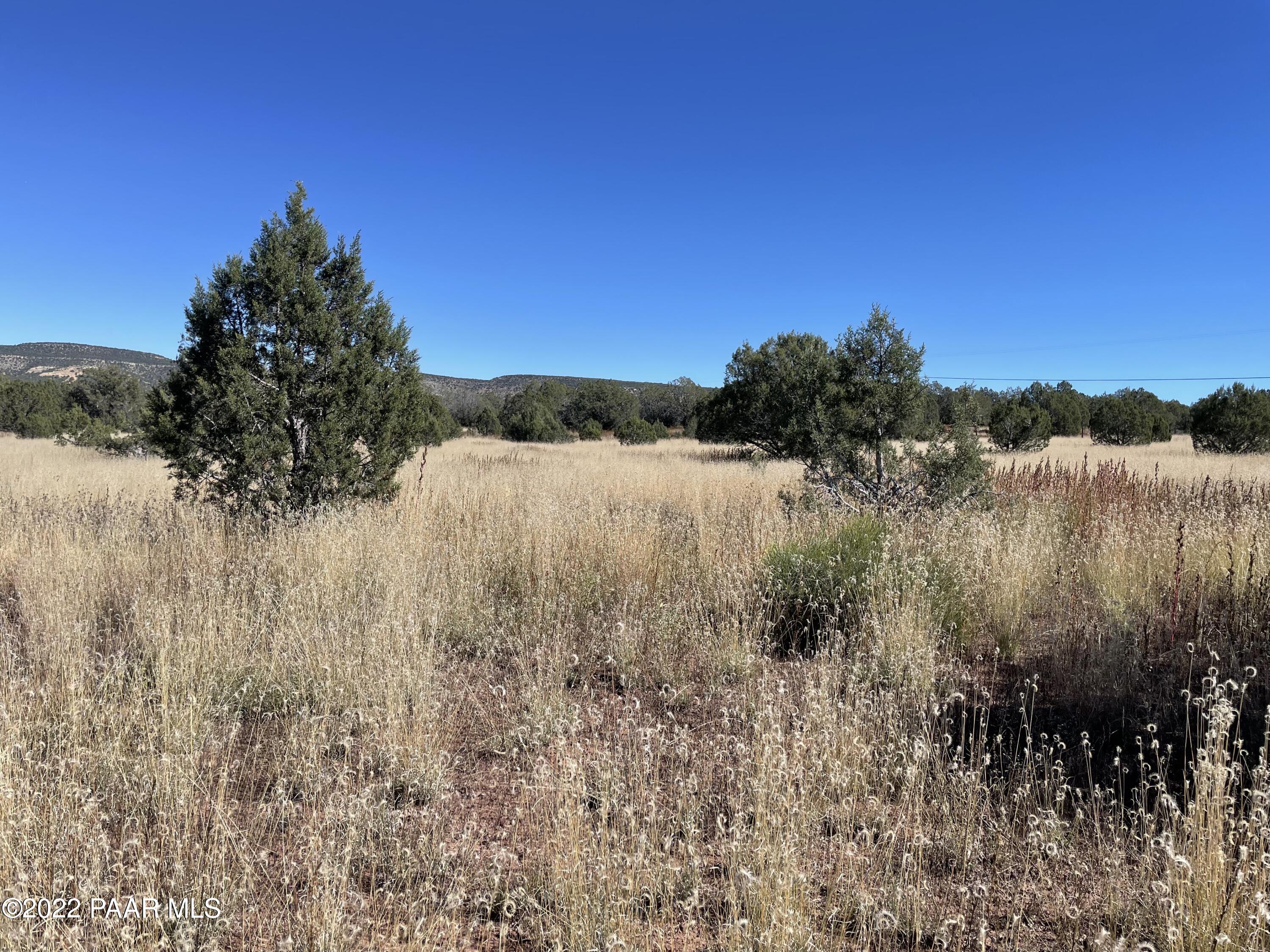 4037 Verde Road Williams, AZ 86046 - Photo 2 of 15 a view of lake and mountain