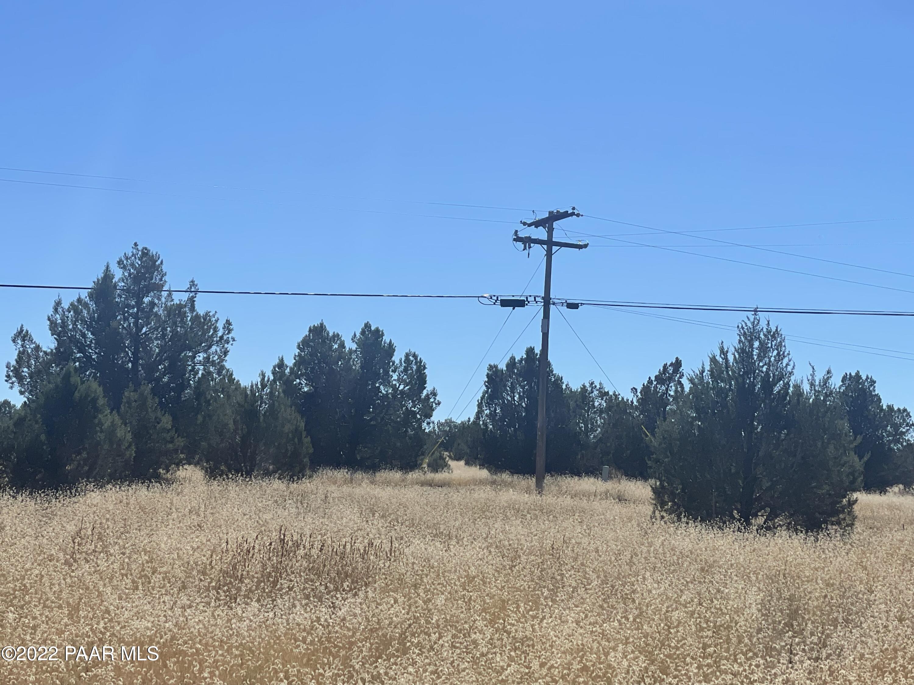4037 Verde Road Williams, AZ 86046 - Photo 3 of 15 a view of a dry yard