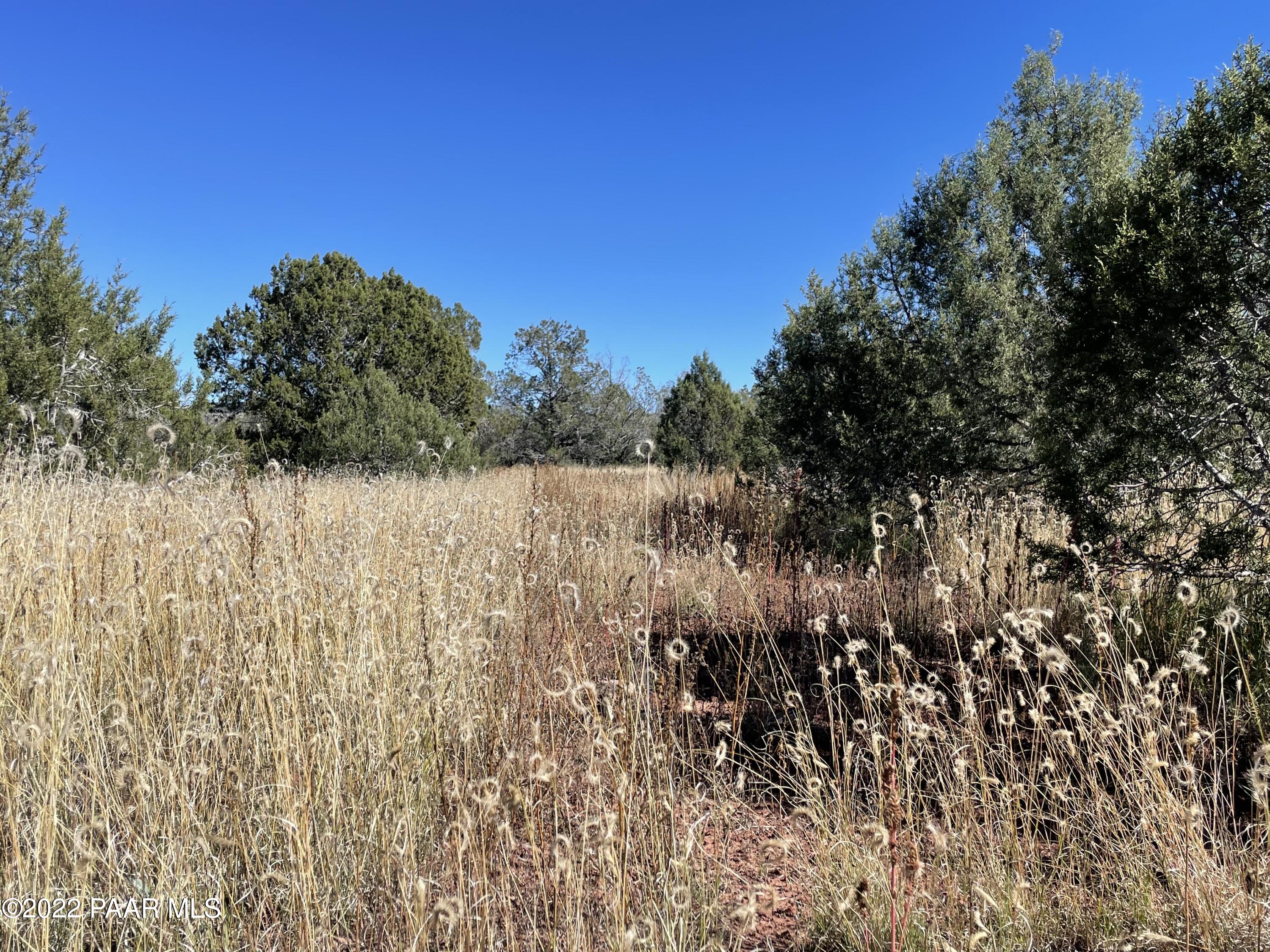 4037 Verde Road Williams, AZ 86046 - Photo 4 of 15 a view of a yard