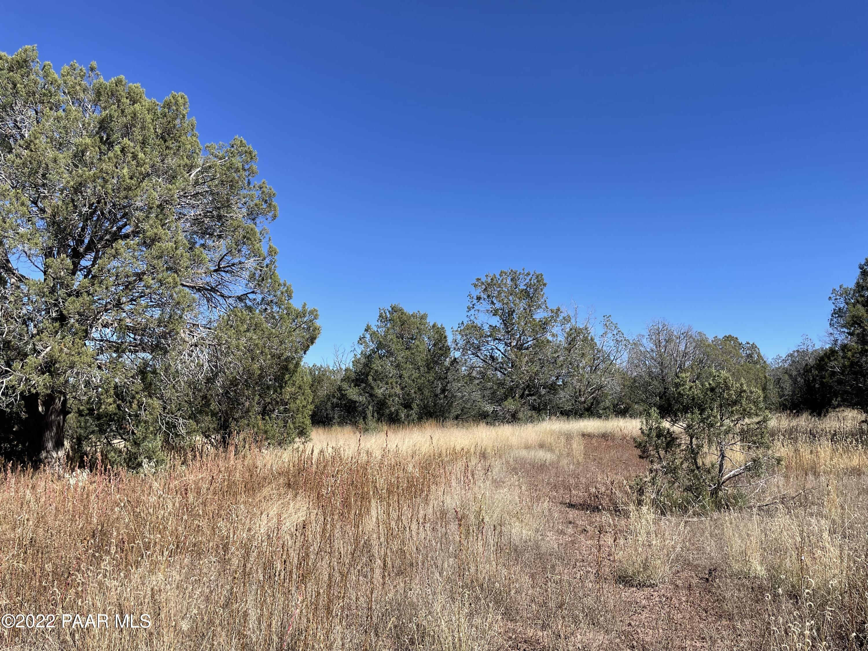 4037 Verde Road Williams, AZ 86046 - Photo 6 of 15 a view of a field with trees in the background
