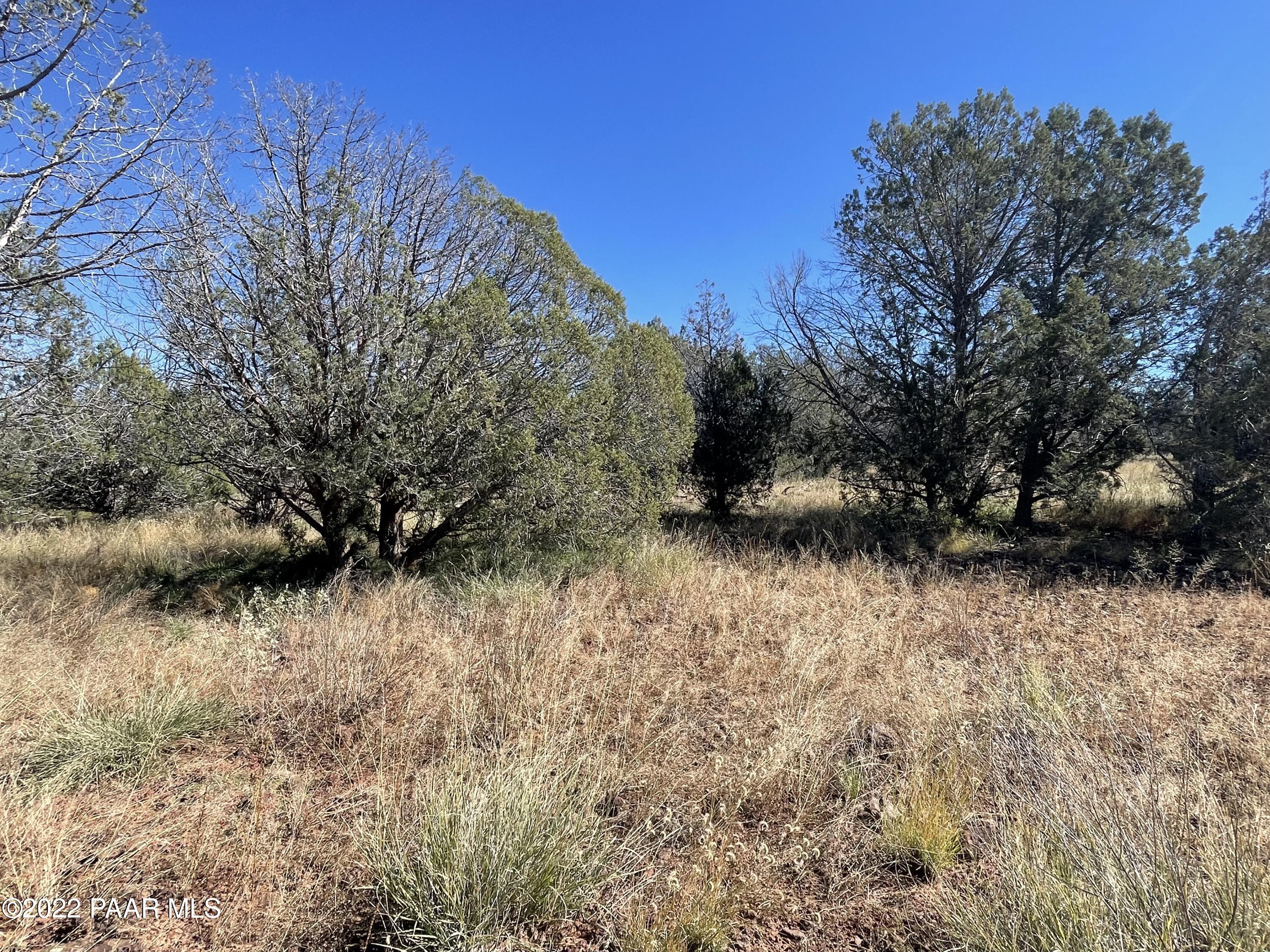 4037 Verde Road Williams, AZ 86046 - Photo 7 of 15 a backyard of a house with lots of green space