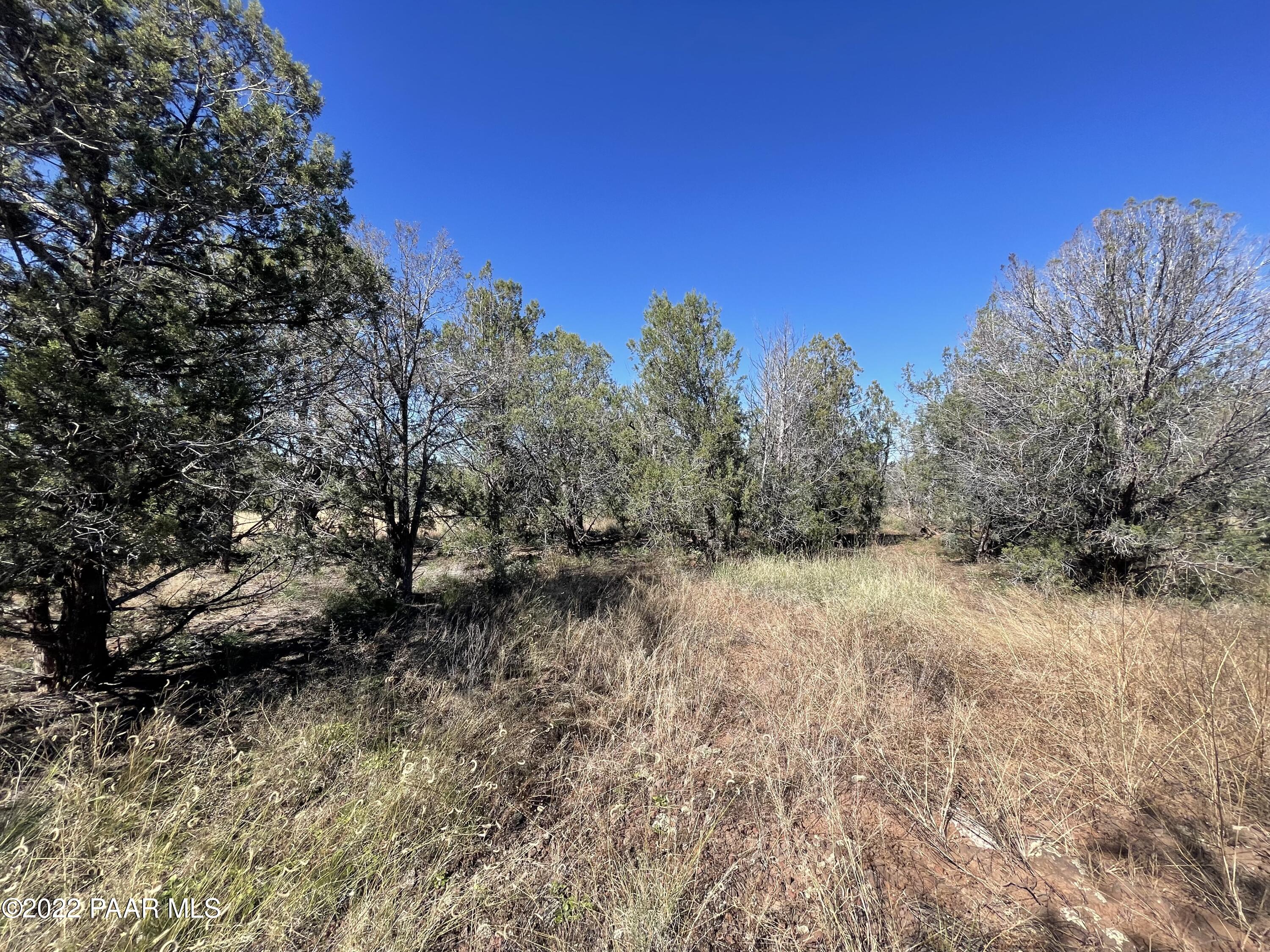 4037 Verde Road Williams, AZ 86046 - Photo 8 of 15 a view of a yard with trees in the background