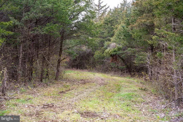 $975,000 | Lot 2-3 Radio Station Road, Strasburg, VA 22657