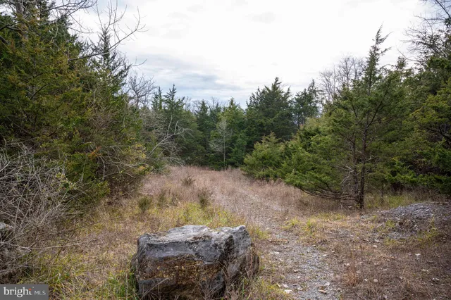 $975,000 | Lot 2-3 Radio Station Road, Strasburg, VA 22657