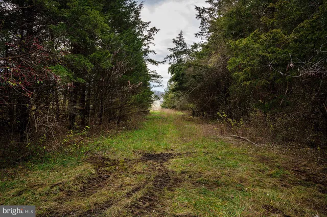 $975,000 | Lot 2-3 Radio Station Road, Strasburg, VA 22657