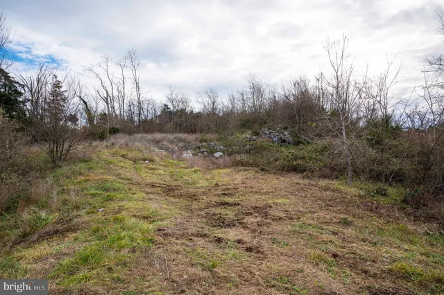 $975,000 | Lot 2-3 Radio Station Road, Strasburg, VA 22657