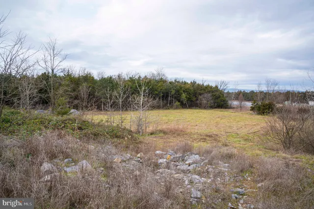 $975,000 | Lot 2-3 Radio Station Road, Strasburg, VA 22657