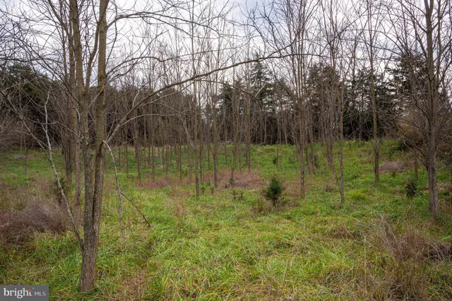 $975,000 | Lot 2-3 Radio Station Road, Strasburg, VA 22657