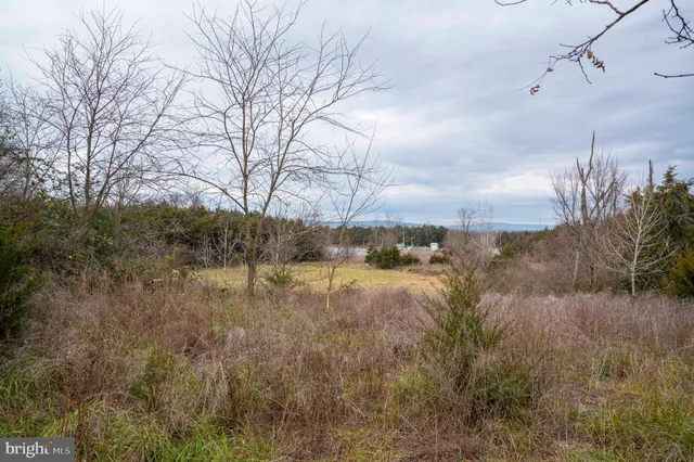 $975,000 | Lot 2-3 Radio Station Road, Strasburg, VA 22657