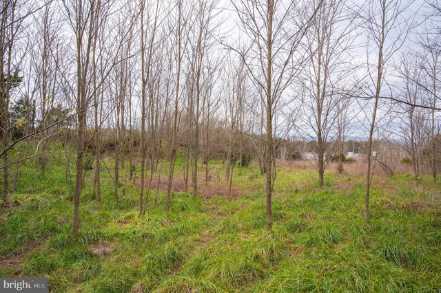 $975,000 | Lot 2-3 Radio Station Road, Strasburg, VA 22657