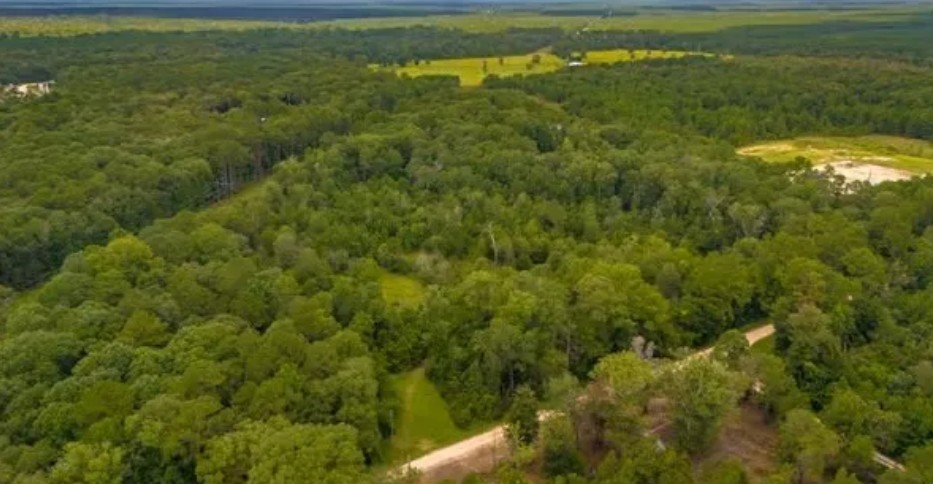 1176 Plum Pudding Road Livingston, TX 77351 - Photo 2 of 8 Gallery Image 2