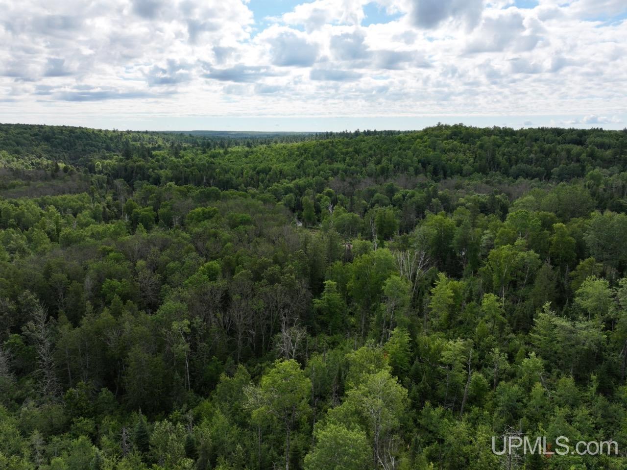 94-acres Off Bates Amasa Road Crystal Falls, MI 49920 - Photo 7 of 38