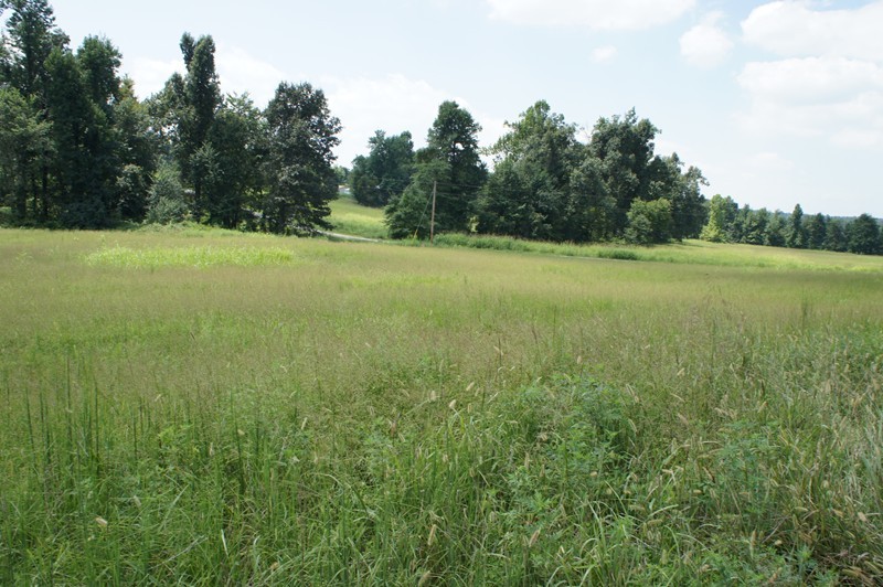 0 Upper Salem Road Metropolis, IL 62960 - Photo 1 of 11