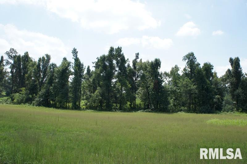 0 Upper Salem Road Metropolis, IL 62960 - Photo 3 of 11