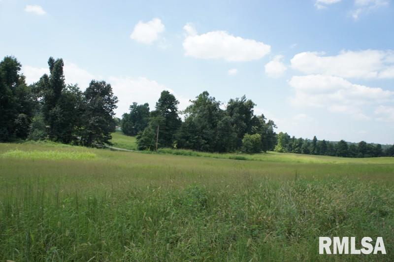 0 Upper Salem Road Metropolis, IL 62960 - Photo 5 of 11