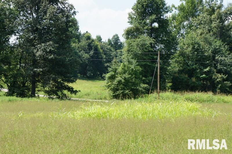 0 Upper Salem Road Metropolis, IL 62960 - Photo 7 of 11
