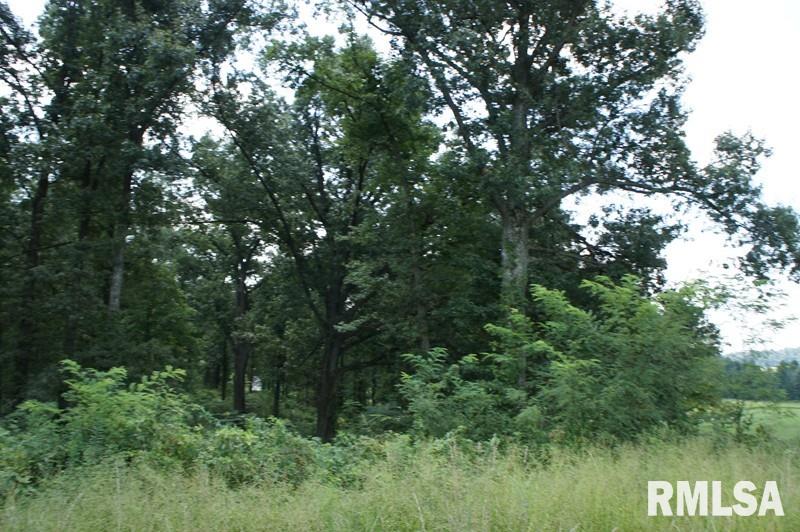 0 Upper Salem Road Metropolis, IL 62960 - Photo 9 of 11