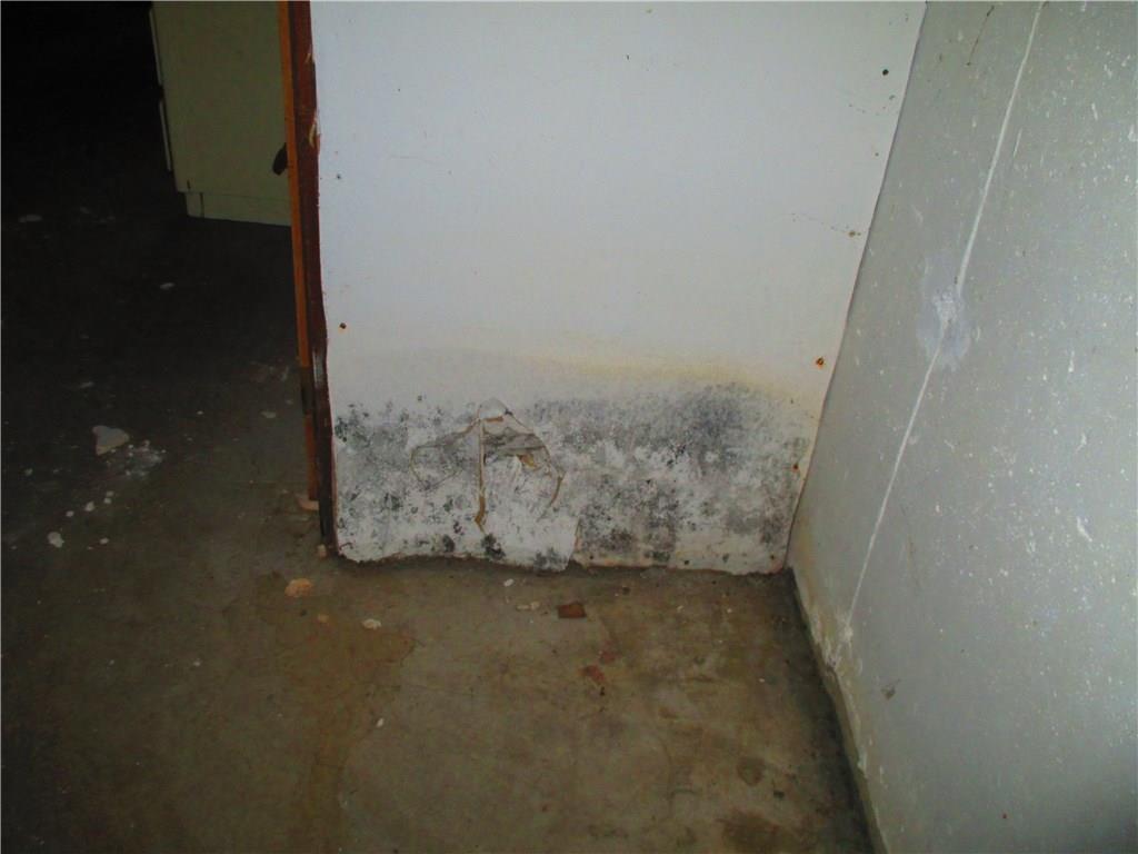 342 North Bend Road Surry, ME 04684 - Photo 15 of 32 Photo