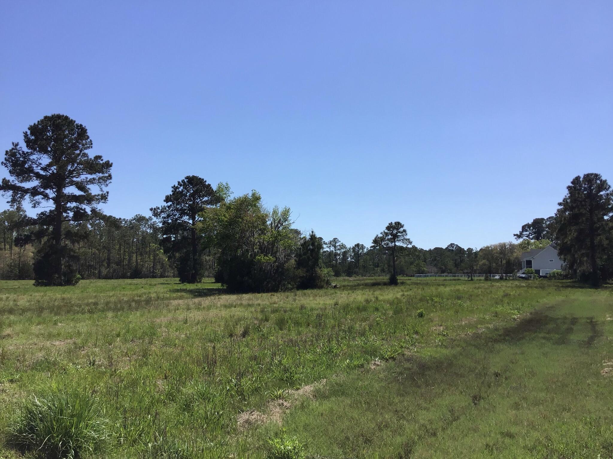 Tract B Wilson Road Meggett, SC 29449 - Photo 2 of 74 D_Urban_IMG_0545