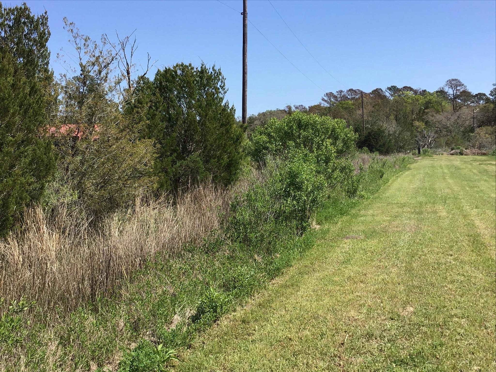 Tract B Wilson Road Meggett, SC 29449 - Photo 11 of 74 D_Urban_IMG_0558