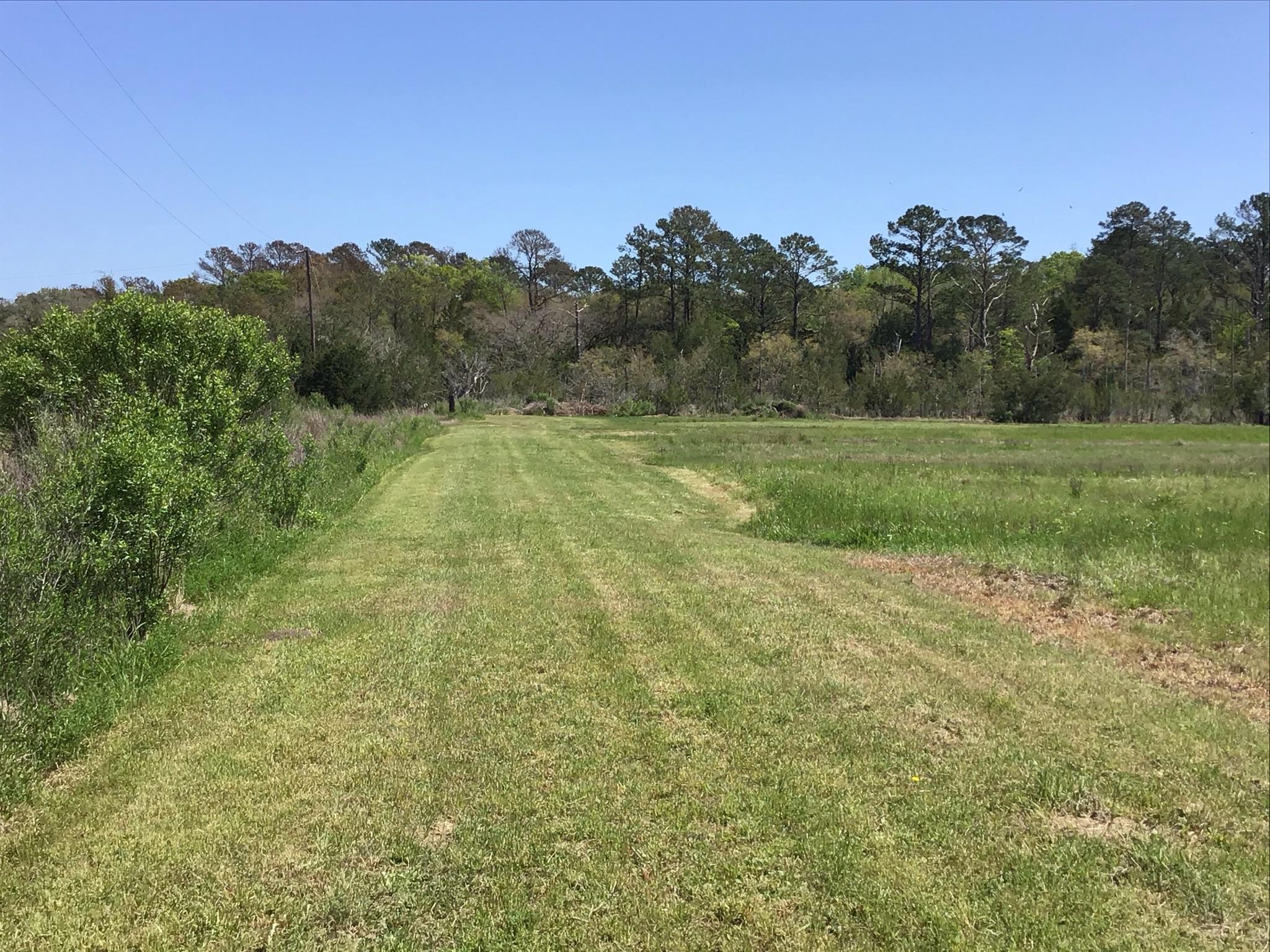 Tract B Wilson Road Meggett, SC 29449 - Photo 12 of 74 D_Urban_IMG_0559
