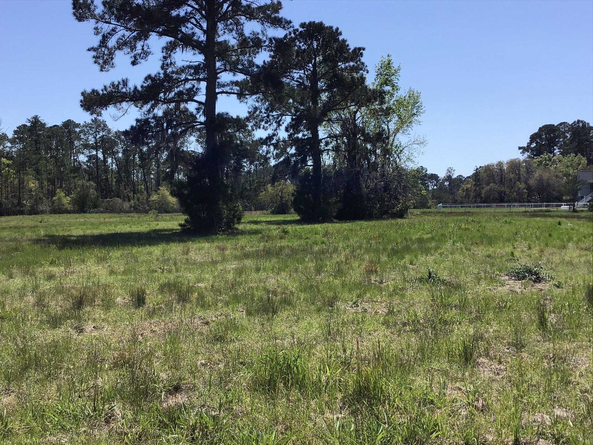 Tract B Wilson Road Meggett, SC 29449 - Photo 14 of 74 D_Urban_IMG_0561