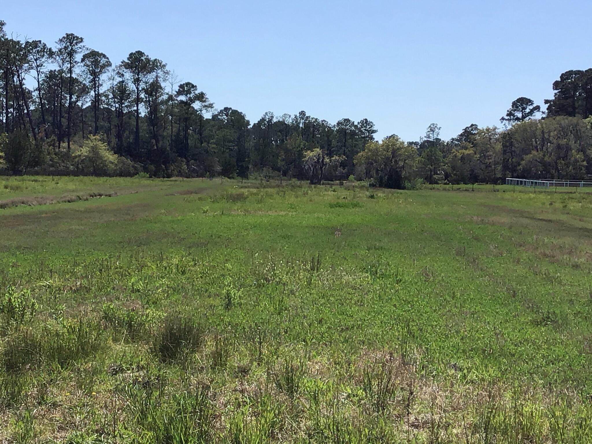 Tract B Wilson Road Meggett, SC 29449 - Photo 20 of 74 D_Urban_IMG_0569