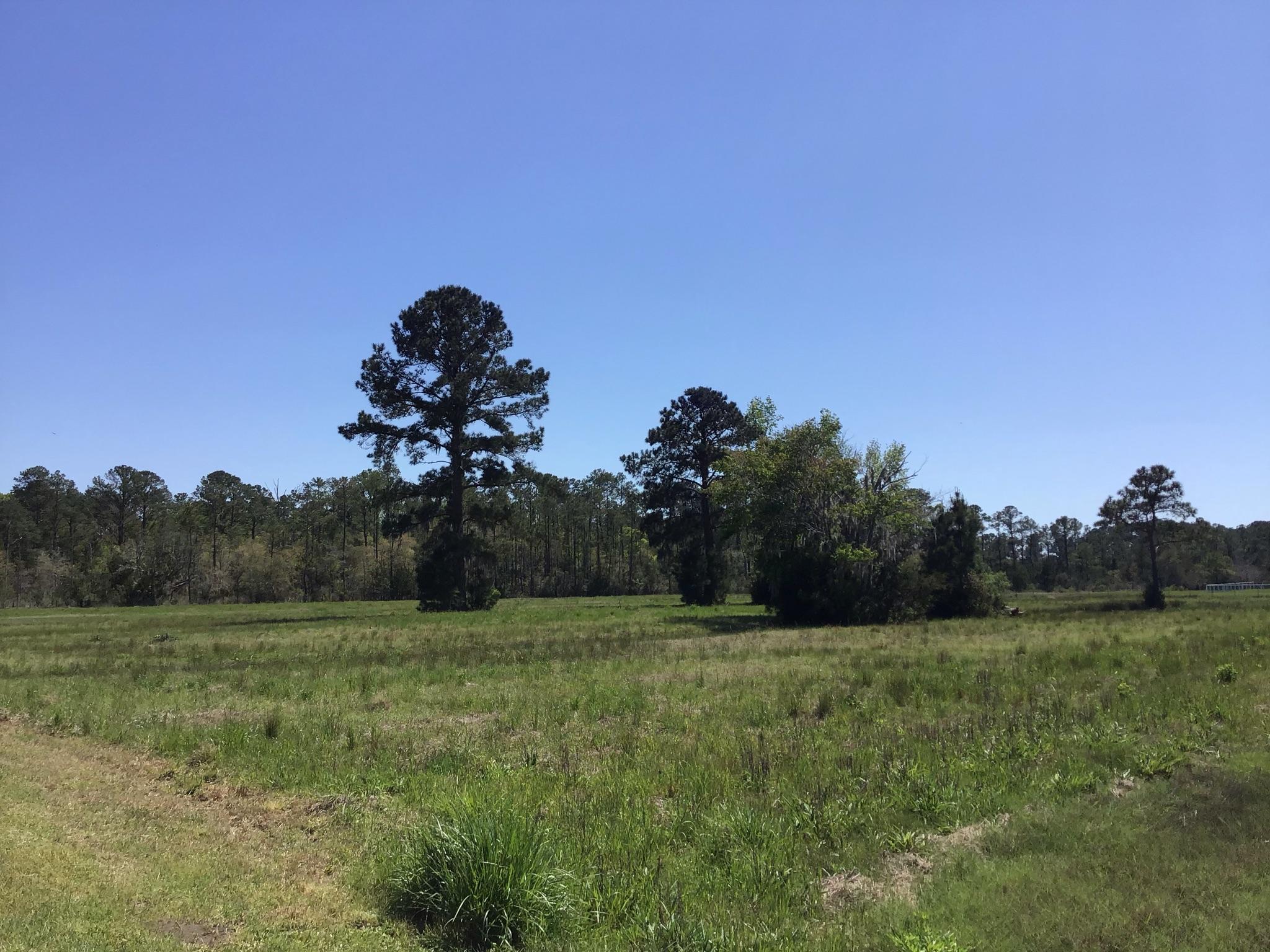 Tract B Wilson Road Meggett, SC 29449 - Photo 3 of 74 D_Urban_IMG_0546