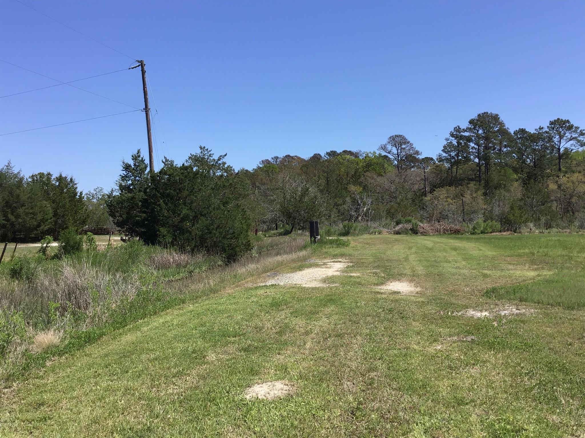 Tract B Wilson Road Meggett, SC 29449 - Photo 21 of 74 D_Urban_IMG_0570