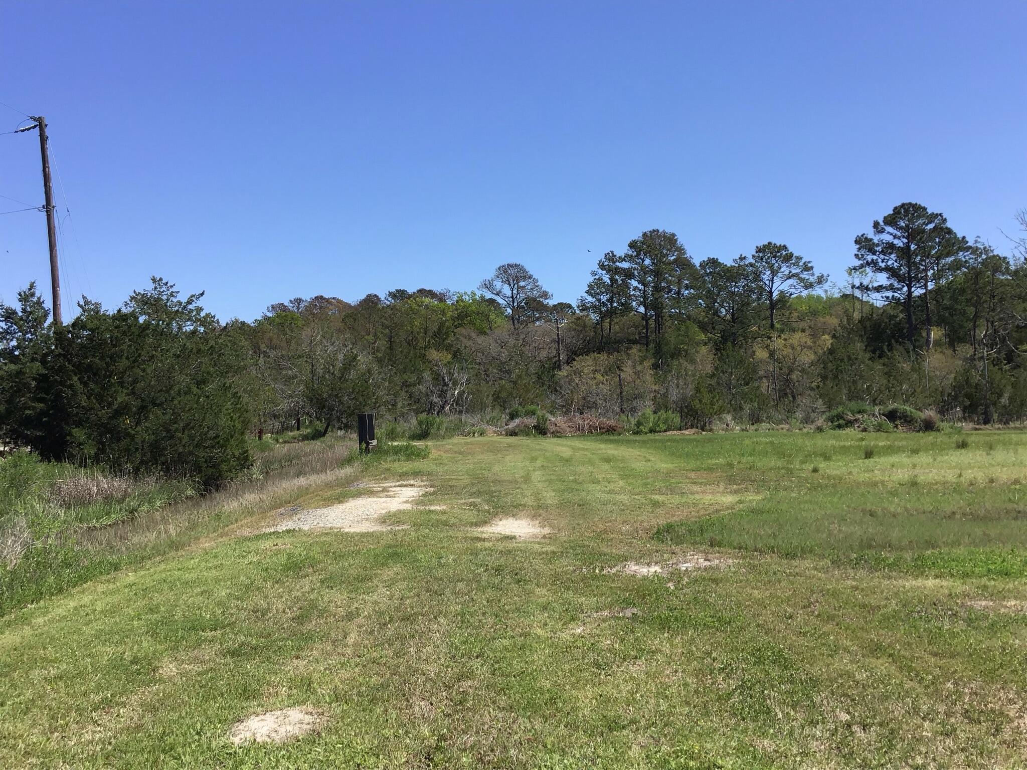 Tract B Wilson Road Meggett, SC 29449 - Photo 22 of 74 D_Urban_IMG_0571