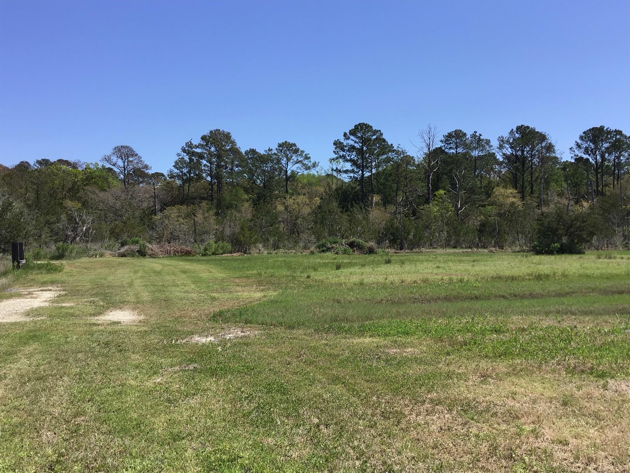 Tract B Wilson Road Meggett, SC 29449 - Photo 23 of 74 D_Urban_IMG_0572