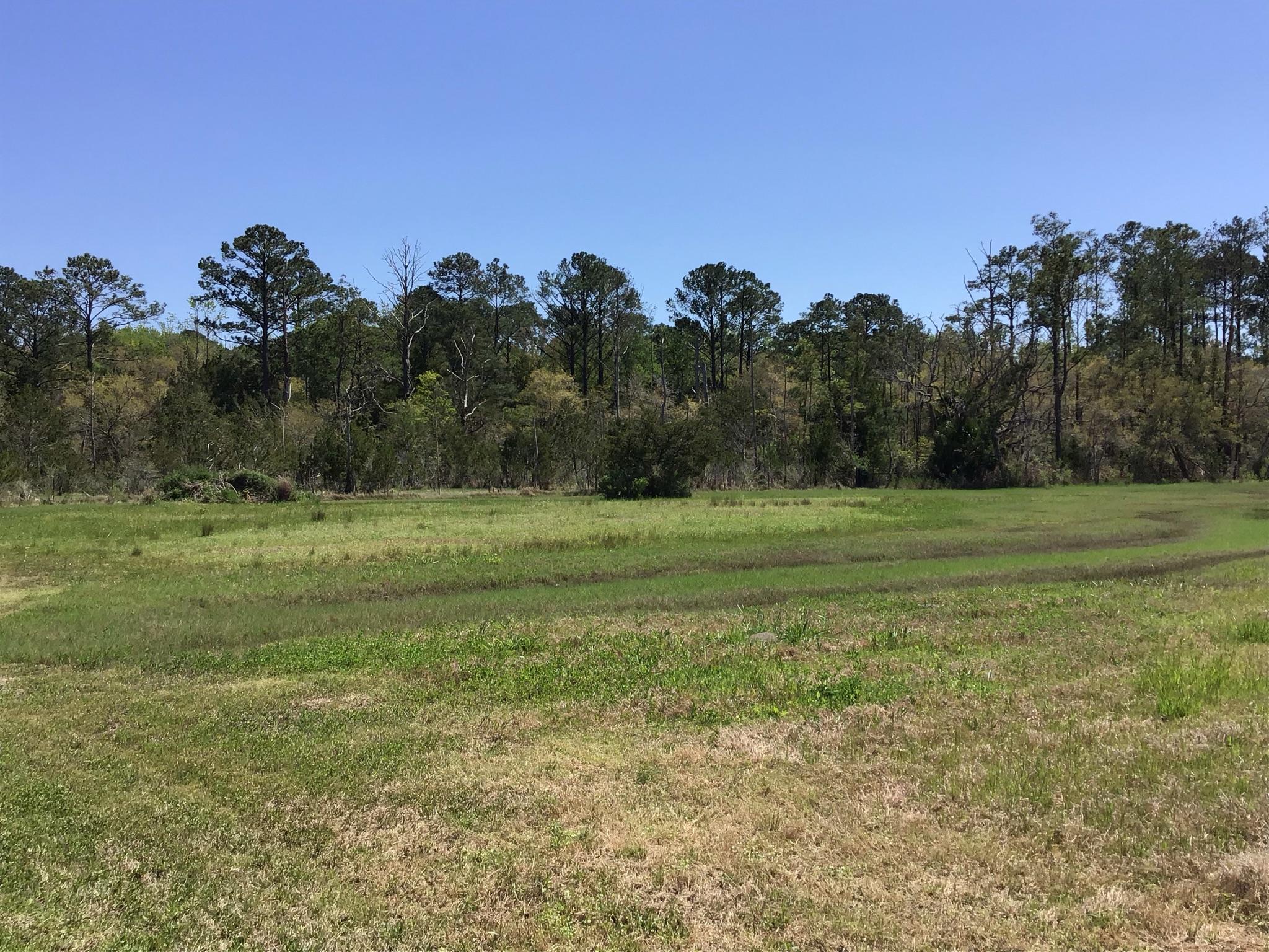 Tract B Wilson Road Meggett, SC 29449 - Photo 24 of 74 D_Urban_IMG_0573