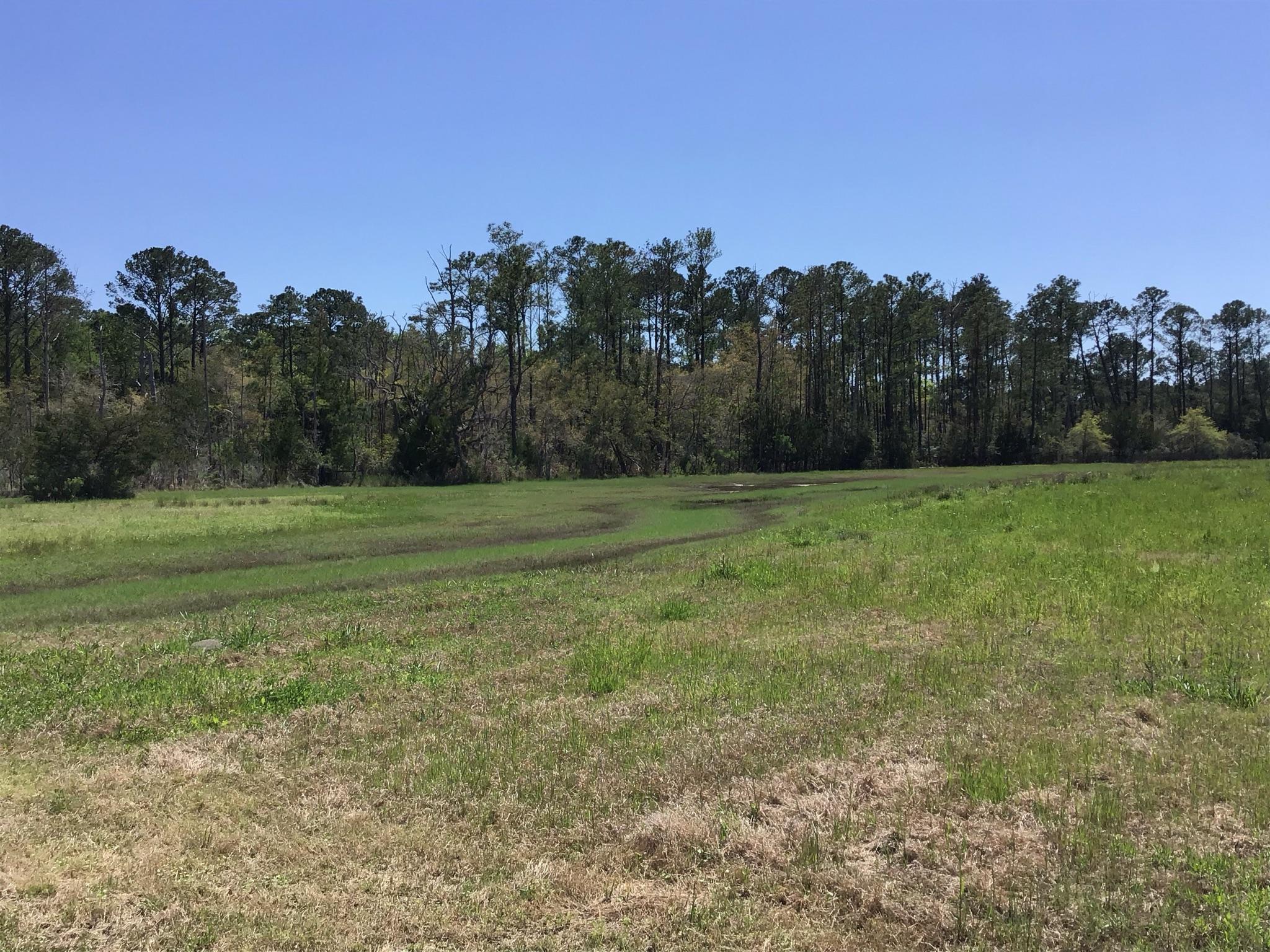 Tract B Wilson Road Meggett, SC 29449 - Photo 25 of 74 D_Urban_IMG_0574
