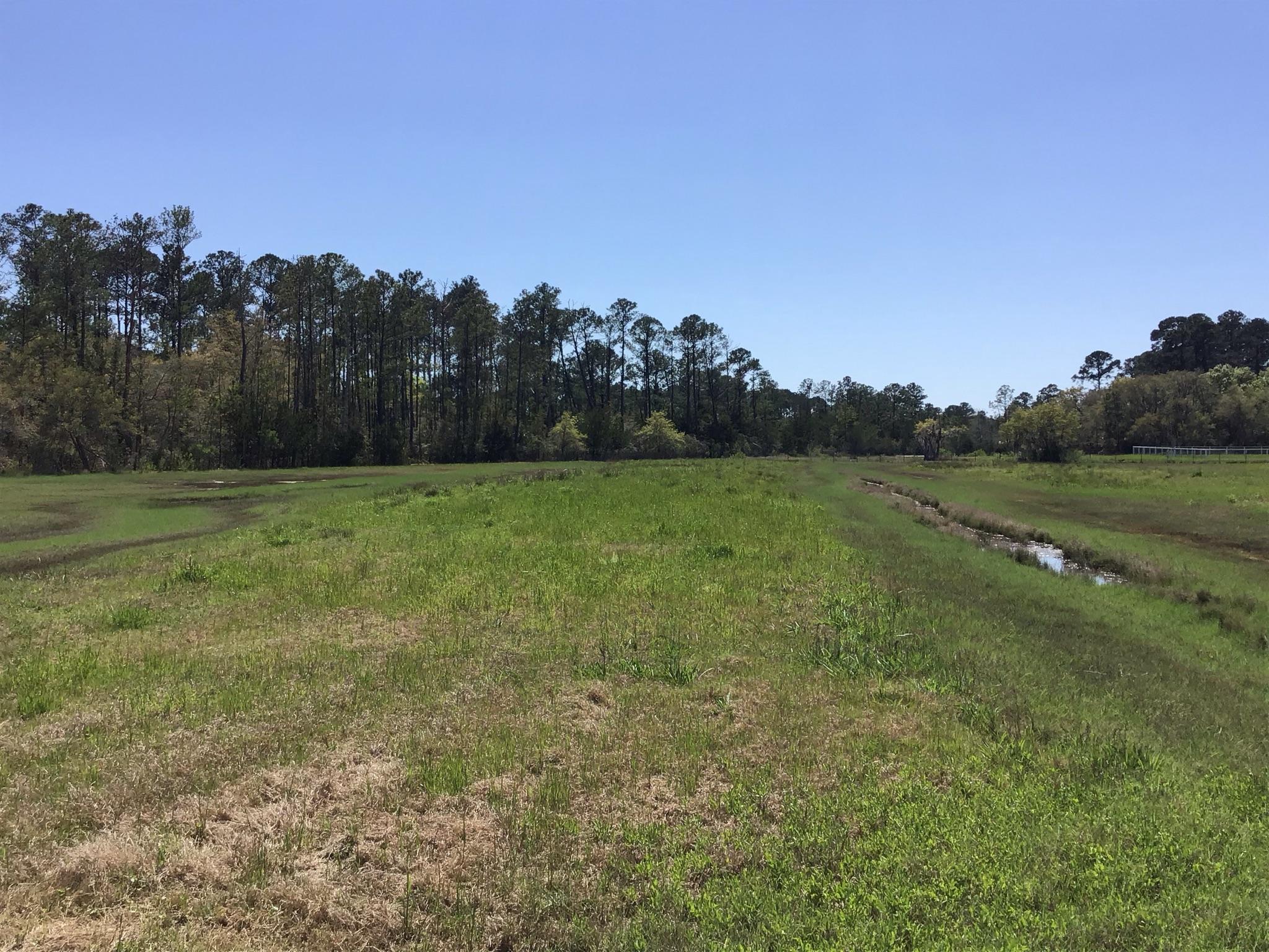 Tract B Wilson Road Meggett, SC 29449 - Photo 26 of 74 D_Urban_IMG_0575