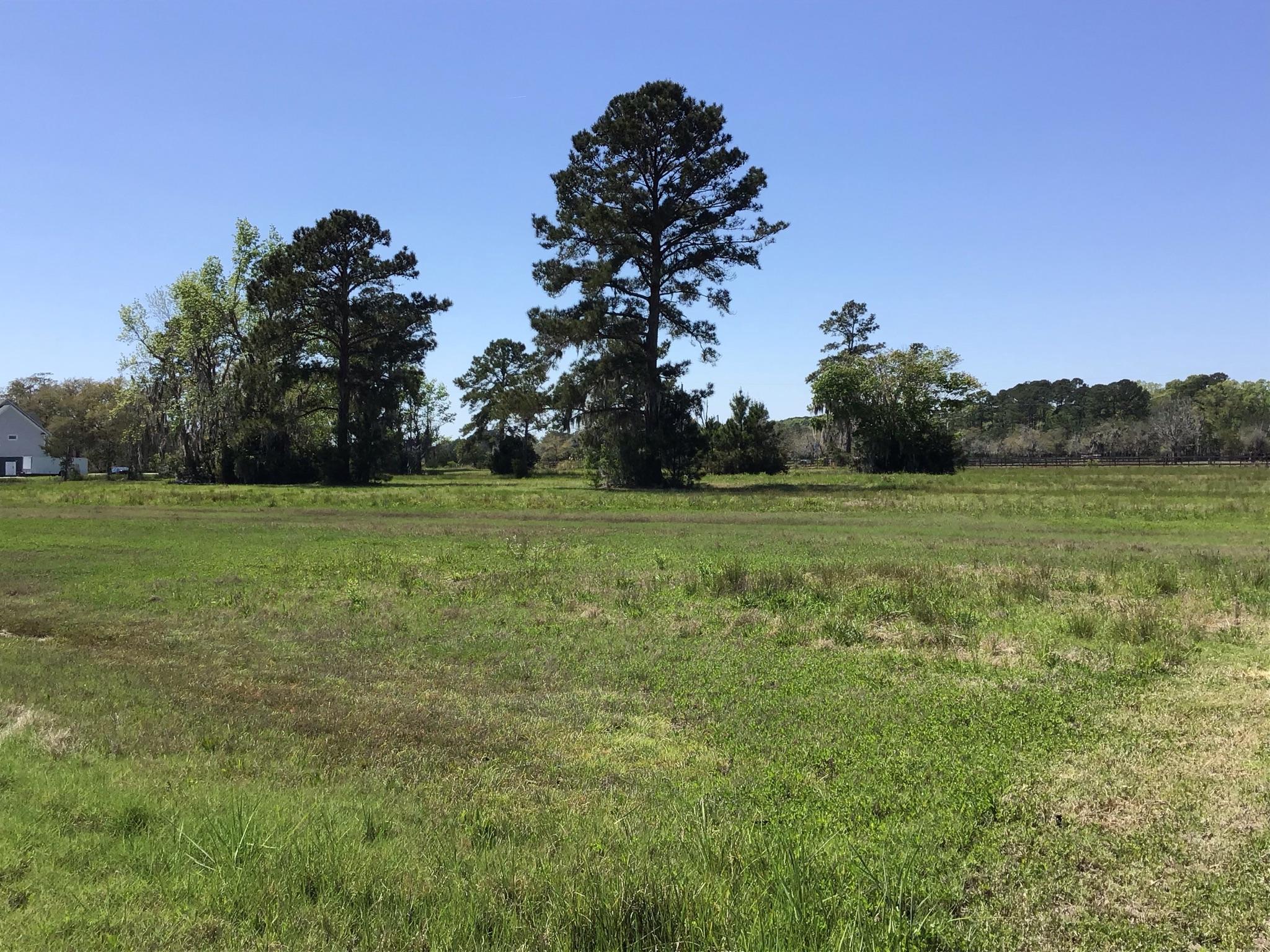 Tract B Wilson Road Meggett, SC 29449 - Photo 28 of 74 D_Urban_IMG_0577