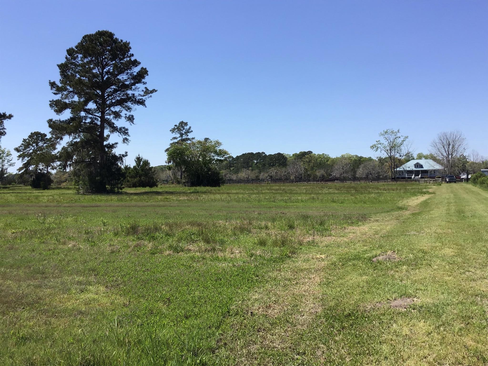 Tract B Wilson Road Meggett, SC 29449 - Photo 29 of 74 D_Urban_IMG_0578