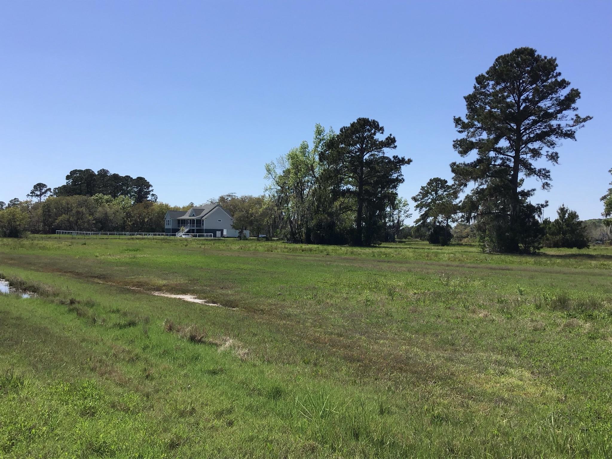 Tract B Wilson Road Meggett, SC 29449 - Photo 30 of 74 D_Urban_IMG_0579