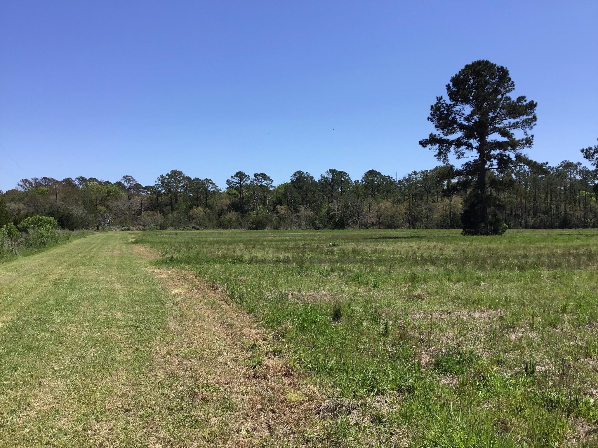 Tract B Wilson Road Meggett, SC 29449 - Photo 4 of 74 D_Urban_IMG_0548