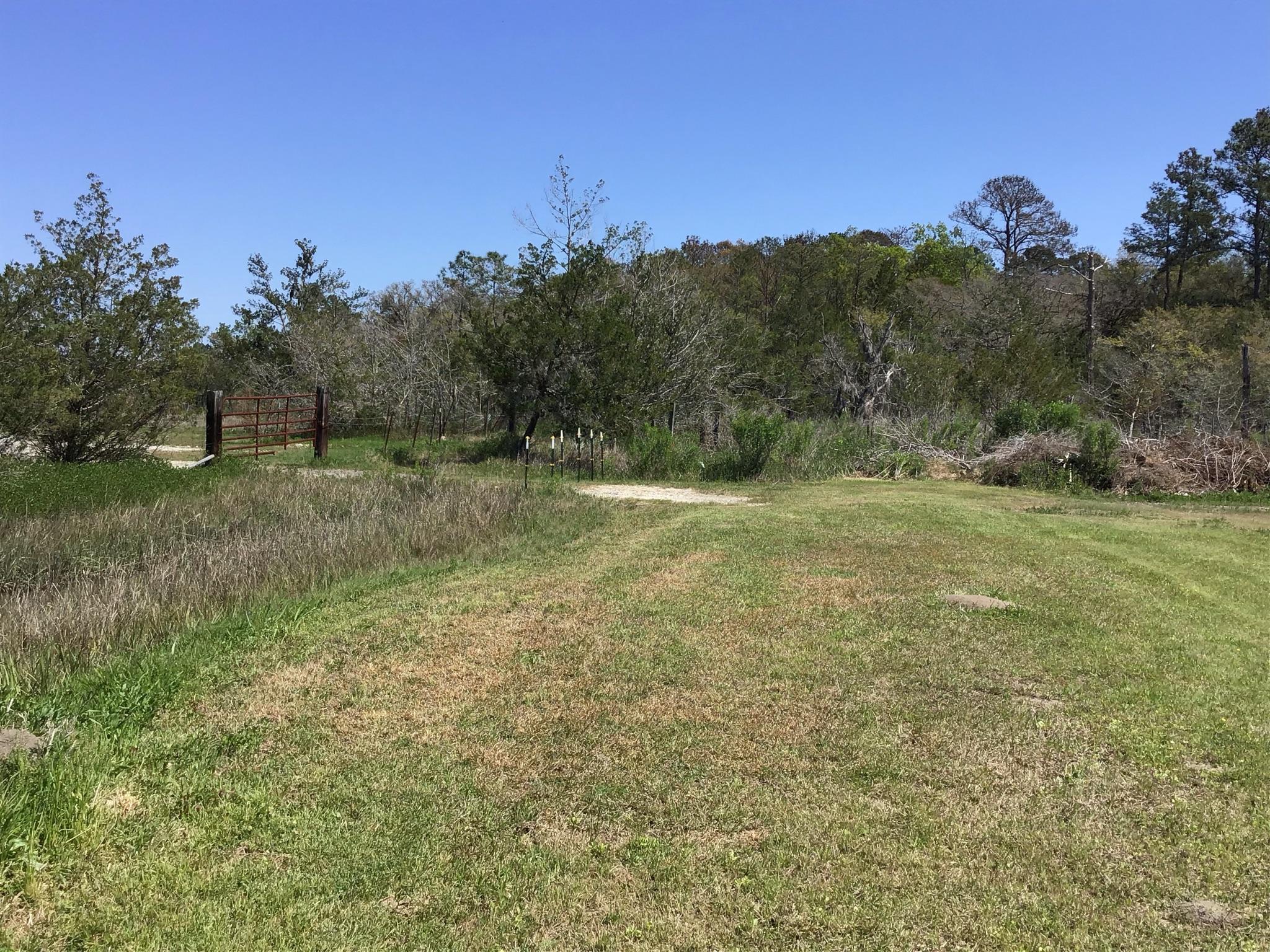 Tract B Wilson Road Meggett, SC 29449 - Photo 34 of 74 D_Urban_IMG_0583