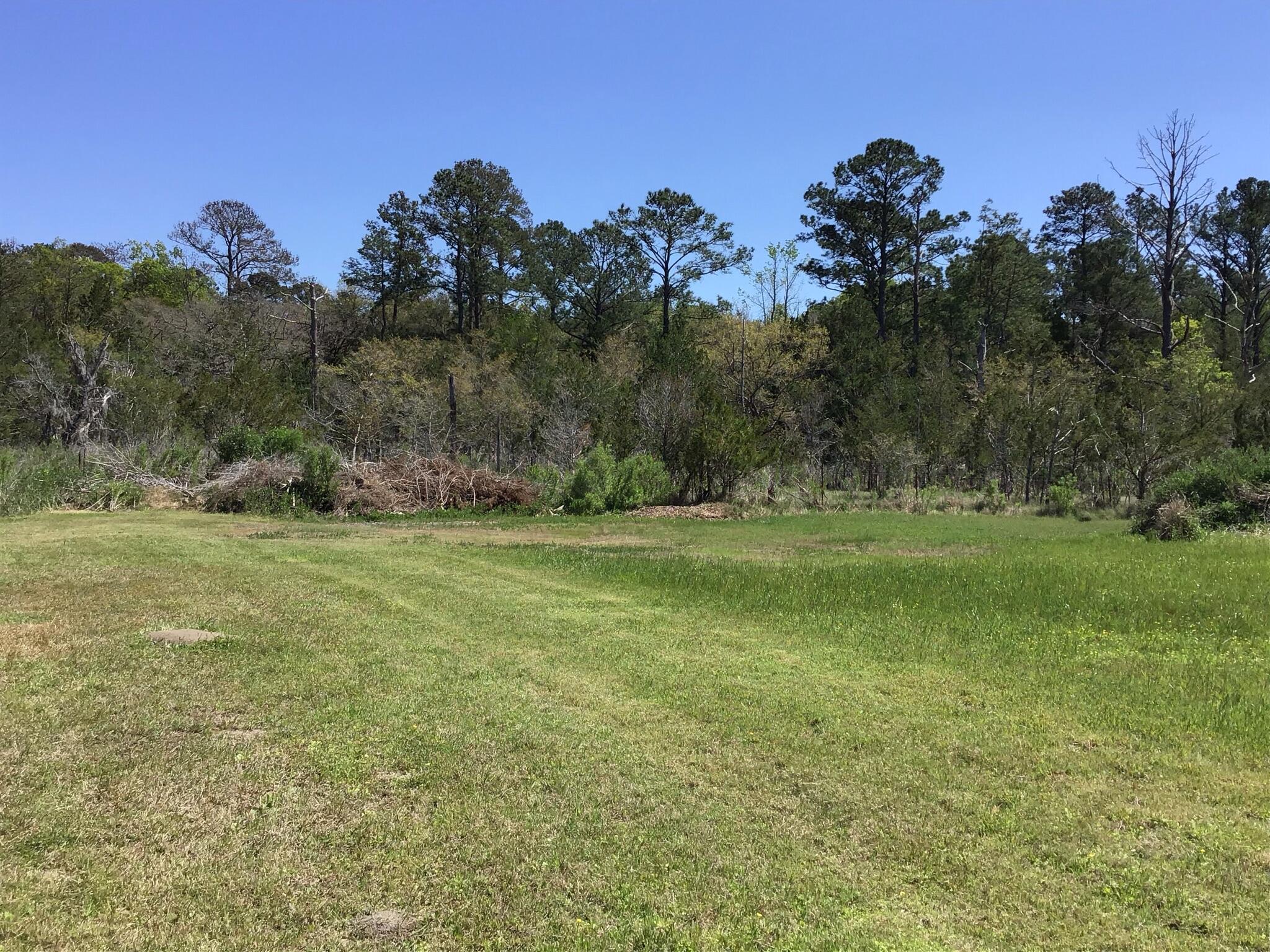 Tract B Wilson Road Meggett, SC 29449 - Photo 36 of 74 D_Urban_IMG_0585