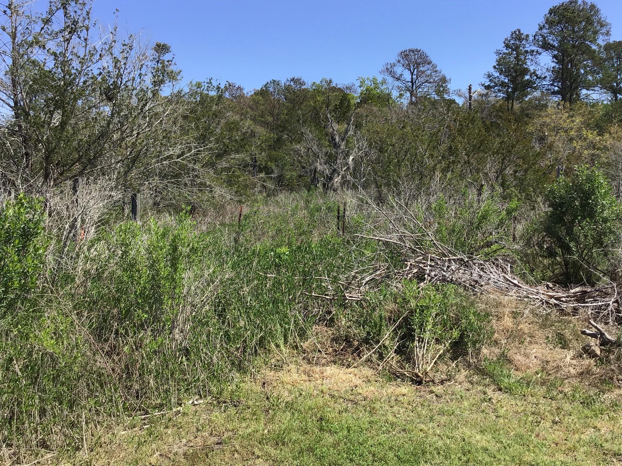 Tract B Wilson Road Meggett, SC 29449 - Photo 39 of 74 D_Urban_IMG_0588